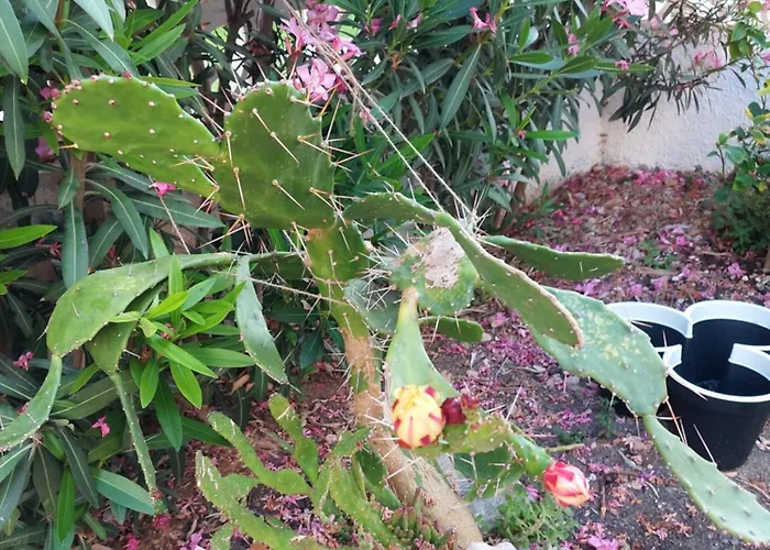 Haus Am Hébergement de vacances