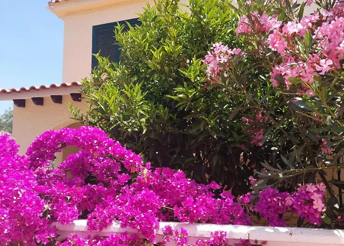 Hébergement de vacances Haus Am Torrevieja