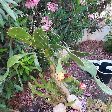 Haus Am Сasa de vacaciones